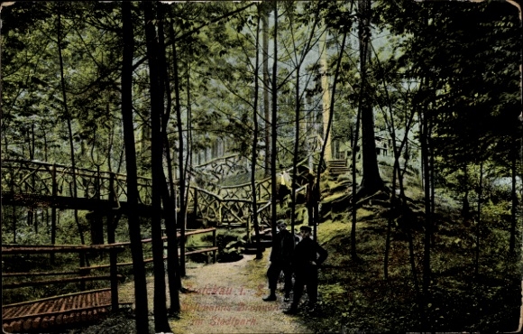 Ak Zwickau in Sachsen, Stadtpark