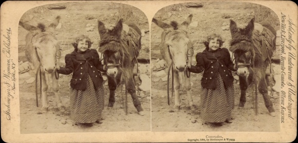 Stereo Foto Mädchen mit Eseln