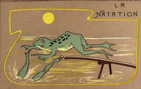 Postcard Frog jumps into the water