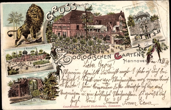 Litho Hannover in Niedersachsen, Der Zoologische Garten, Löwe, Affenhaus, Kamelhaus, Felsen