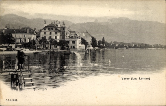 CPA Vevey Canton de Vaud, Lac Léman