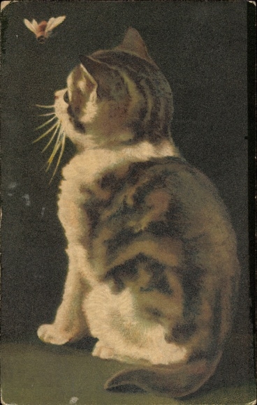 Postcard Kitten with a Bee