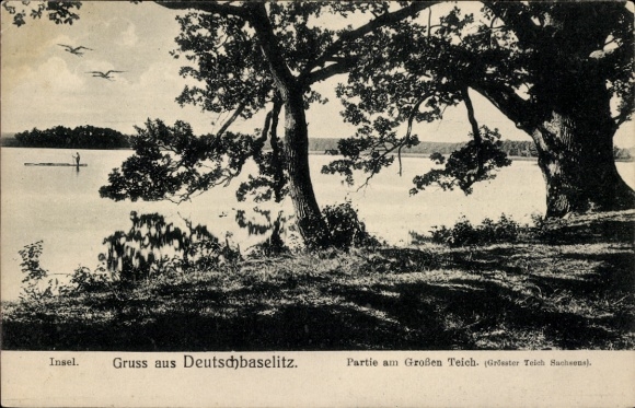 Postcard Deutschbaselitz Kamenz Saxony, island, greetings from Partie am Großen Teich, landscape