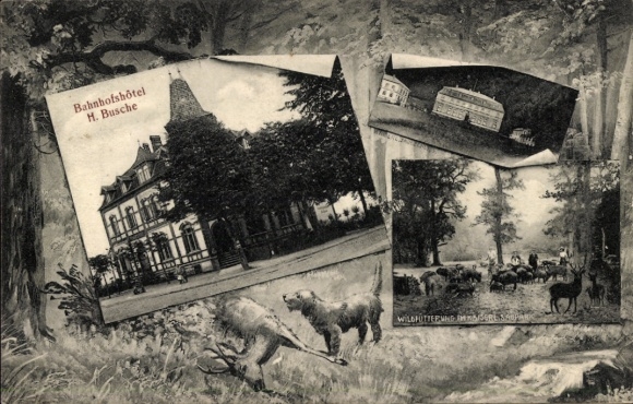 Postcard Springe am Deister, game feeding, Bahnhofshotel H. Busche