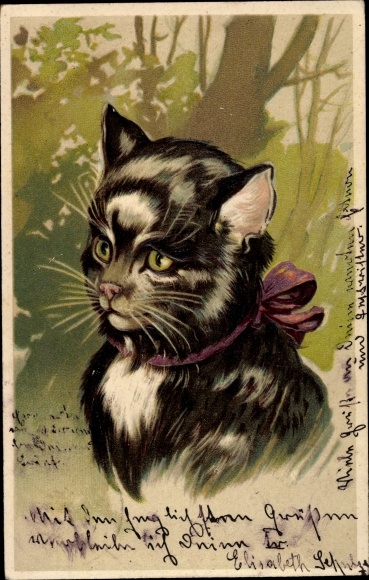 Präge Litho Katze mit violettem Halsband
