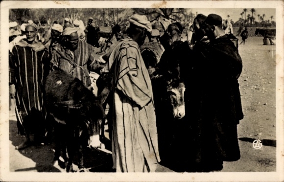 Postcard Afrika, Les Souks, Le Marché aux Anes