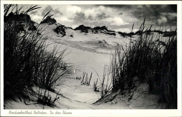 Postcard Insel Baltrum in Ostfriesland, dunes
