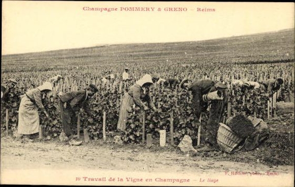 Set with 40 PCs Reims, Caves Pommery, envelope