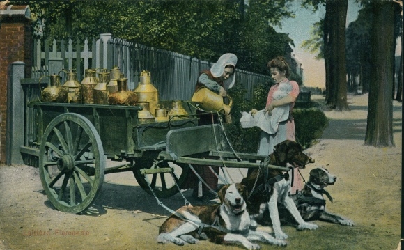 Postcard Belgian costume, milkmaid, dog cart, working dog, milk jug