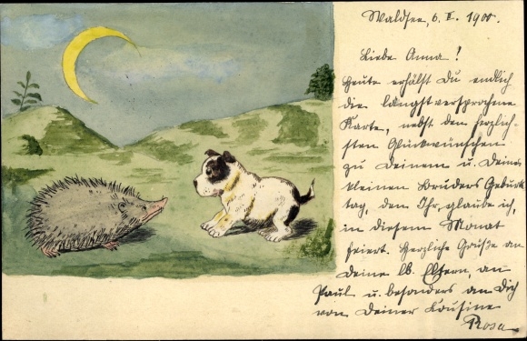 Ganzsachen Handgemalt Ak Waldsee in Württemberg, Hund und Igel, Mondschein
