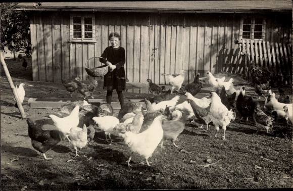 Photo Postcard Girl, Chicken Coop