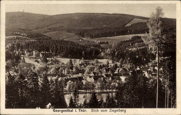 Ak Georgenthal in Thüringen, Blick vom Ziegelberg, Georgenthal in Thüringen