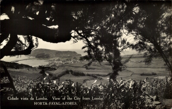 Ak Faial Fayal Azoren, Blick auf die Stadt Lomba, Azoren, Landschaft, Pflanzen