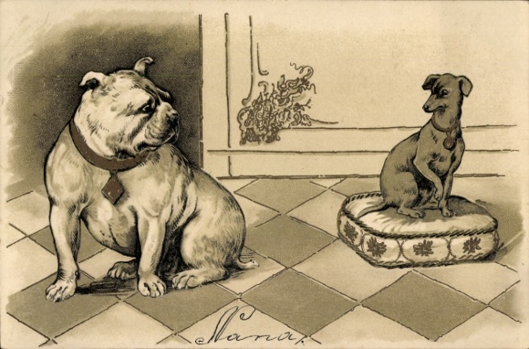 Chromo-Litho Two dogs, bulldog, terrier on a pillow
