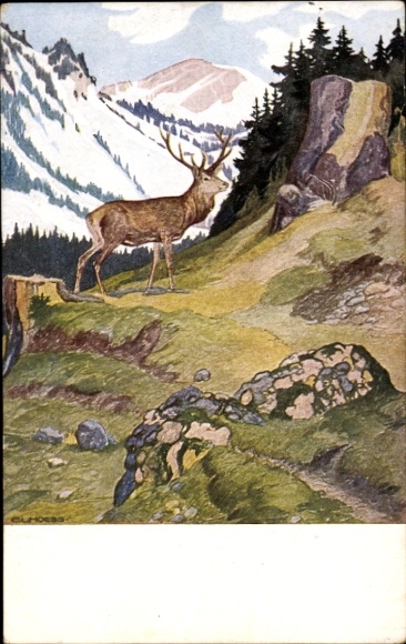Künstler Ak Hoeß, Eug. Ludw., Hochwaldleben im Herbst, Hirsch