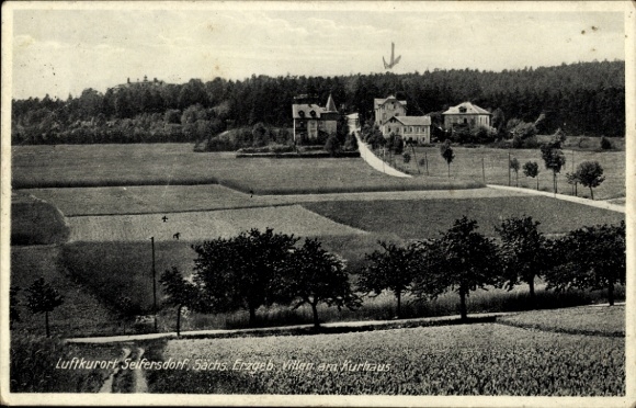 Ak Seifersdorf Dippoldiswalde im Osterzgebirge, Villen am Kurhaus
