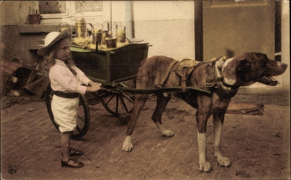 Postcard Belgique, Laitière, milk truck, dog cart, child