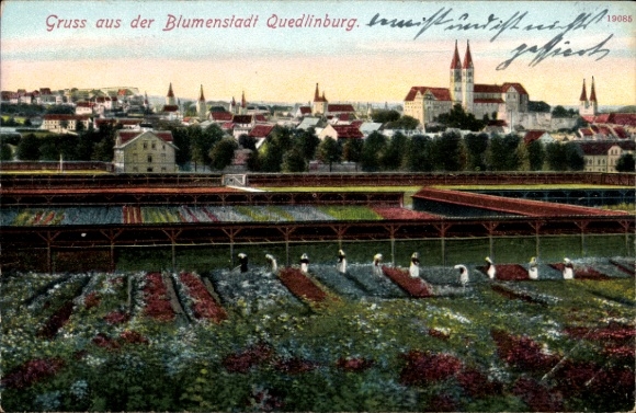 Ak Quedlinburg in het Harzgebergte, bloemenstad bloeiende bloemenvelden, stadsgezicht,