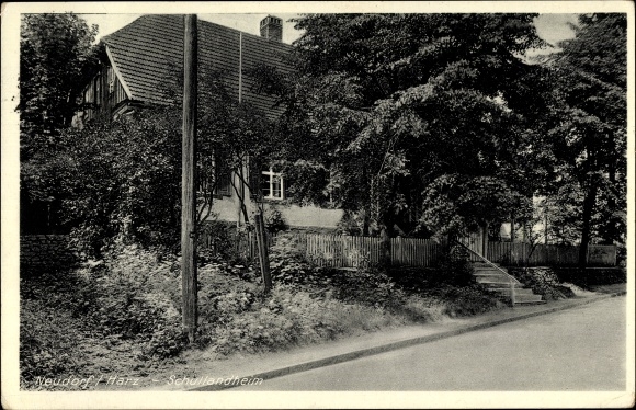 Ak Neudorf Harzgerode am Harz, Blick auf das Schullandheim, Straßenpartie