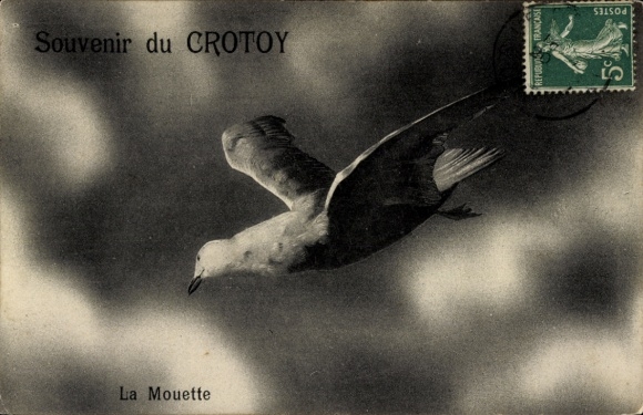 Postcard Le Crotoy Somme, Mouette
