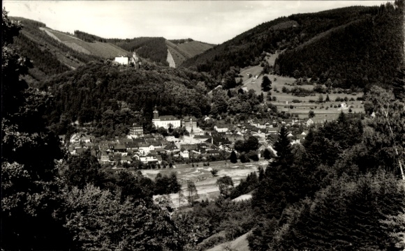 Ak Leutenberg in Thüringen, Panorama von Leutenberg, Berge, Wald,  Architektur