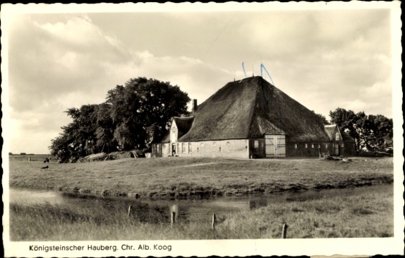 Postcard Christian Albrechts Koog Galmsbüll in North Friesland, Königsteinscher Hauberg
