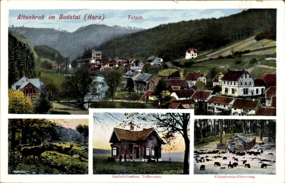 Postcard Altenbrak Thale in the Harz, total view, hunting lodge, deer, wild boar feeding
