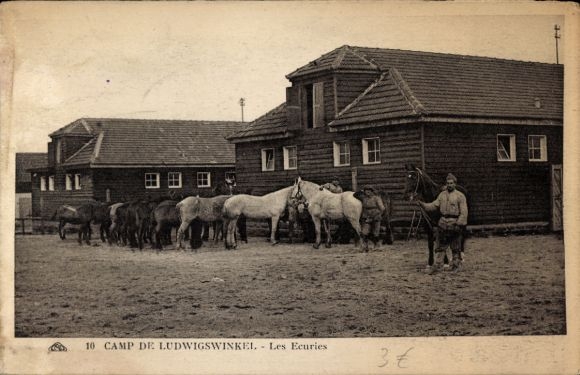 Postcard Ludwigswinkel in the Palatinate, Les Ecuries, camp, horses, men