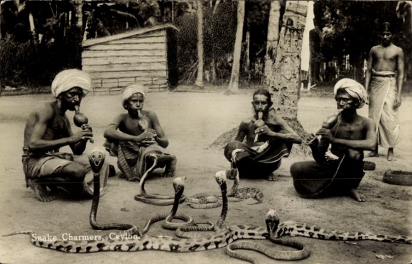 Postcard Ceylon Sri Lanka, snake charmer, snake charmers, cobras