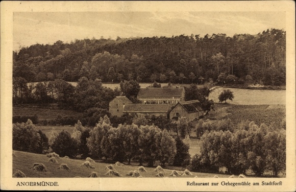 Ak Angermünde in der Uckermark, Restaurant zur Gehegemühle am Stadtforst