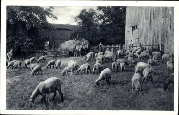 Postcard Bargfeld-Stegen district of Stormarn, Gutshof Stegen, Alsterdorfer Anstalten, Steger Allee 1