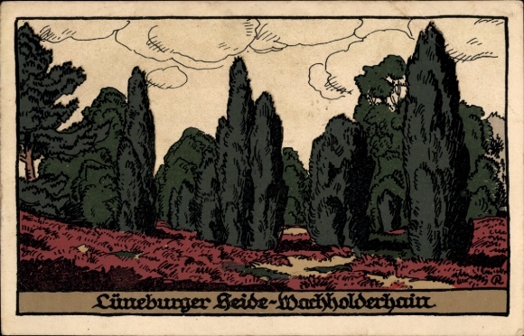 Steindruck Ak Walsrode in der Lüneburger Heide, Wachholderhain