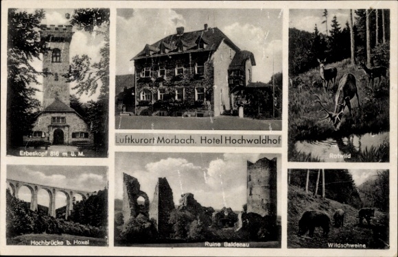 Postcard Morbach in Rhineland Palatinate, Hotel Hochwaldhof, Erbeskopf, high bridge, ruin Baldenau, red deer