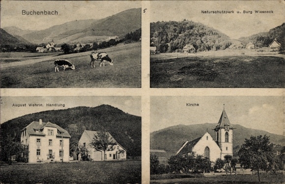 Postcard Buchenbach in the Black Forest, nature reserve, Wiesneck Castle, August Wehrte shop, church