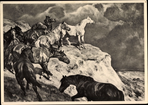 Artist PC Roloff, Alfred, HDK 527, in the freedom, wild horses, steep coast