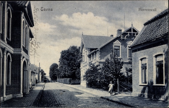 Postcard Esens in Lower Saxony, Herrenwall, street section, building