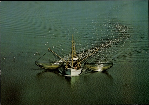 Postcard fishing boat catching