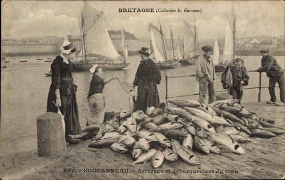 Postcard Concarneau Finistère, Arrival of tuna landing
