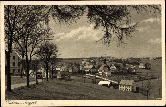 Ak Rübenau Marienberg in het Ertsgebergte van Saksen, Panorama, Gasthof Weisser Hirsch