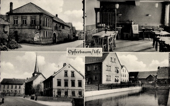 Postcard Opferbaum Bergtheim in Lower Franconia, partial views, Gasthaus z. Stern