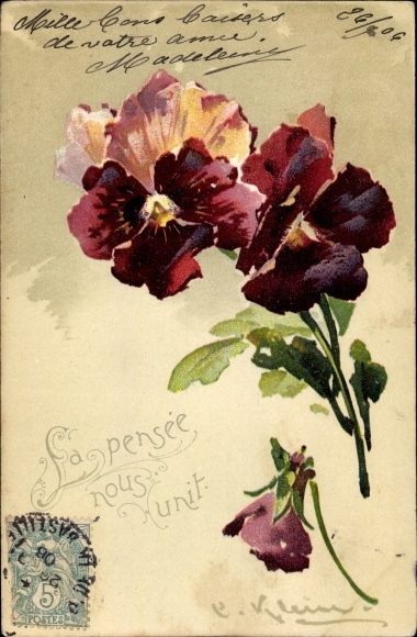 Artist embossed PC small, Catharina, pansy