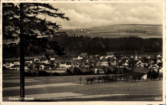 Ak Pockau Lengefeld im Erzgebirge Sachsen, Panorama