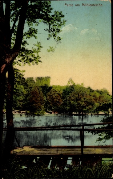 Postcard Eldagsen Springe, wood mill, mill pond, saupark