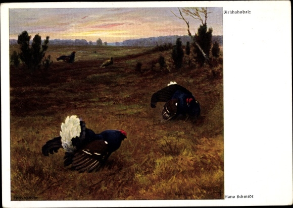Artist PC Schmidt, Hans, Birkhahnbalz, chickens, cocks