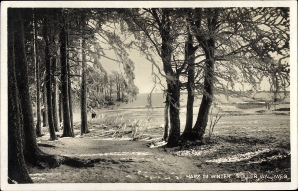 Postcard Harz in winter, quiet forest path