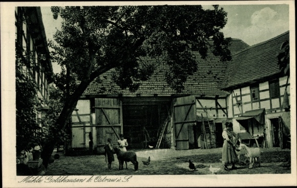 Ak Goldhausen Ostrau in Sachsen, Mühle Goldhausen, Rittergut