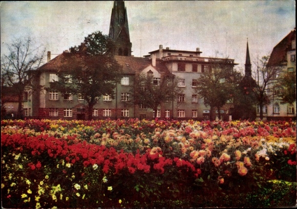 Ak Dresden Leuben, Dahlienheim, Blumenbeete