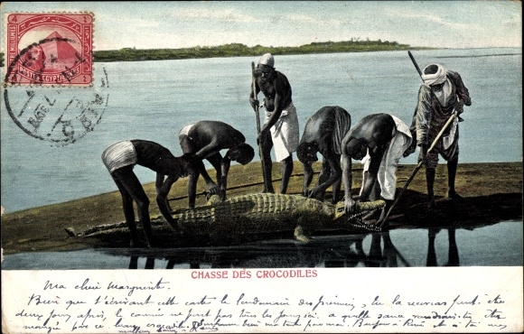 Postcard crocodile hunt, Egypt