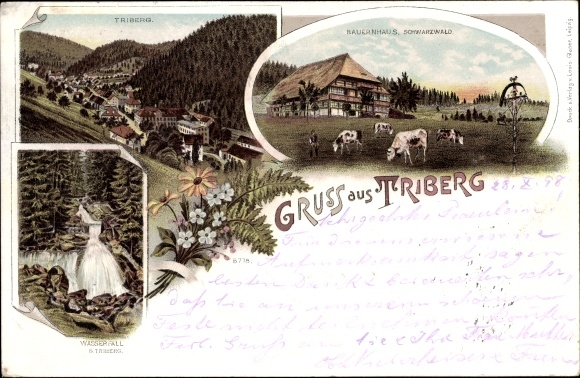 Chromo-Litho Triberg in the Black Forest, general view, waterfall, Black Forest farmhouse, cows