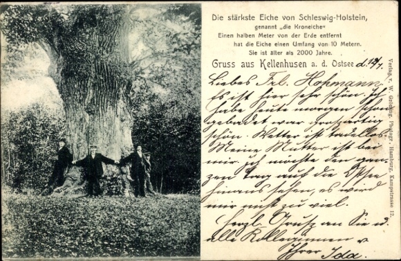 Postcard Ostseebad Kellenhusen in Holstein, Crown Oak